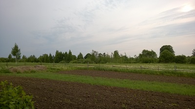 вид с огорода на соседнюю улицу